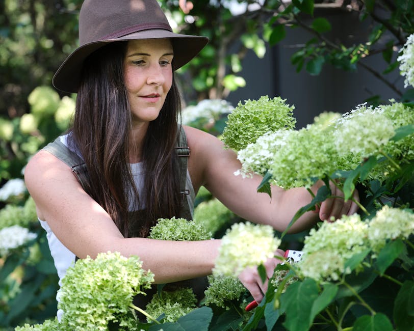 A woman with long dark hair wearing a wide-brimmed hat and sleeveless top is gardening outdoors, tending to a cluster of green and white hydrangea flowers. She is using garden scissors or shears to tr