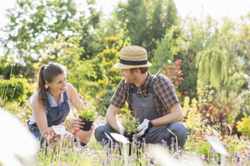 A young woman and a man are engaged in gardening activities in a well-maintained backyard garden. The woman is kneeling on the grass, holding a small potted plant, and smiling as she interacts with the man. The man, wearing a straw hat, plaid shirt, gardening gloves, and an apron, is also kneeling and appears to be planting or tending to the garden with a small trowel in hand. The garden features lush greenery, including a variety of shrubs, flowering plants with purple and pink blooms, and neatly trimmed hedges. The lawn has dense, healthy grass, and the background showcases mature trees with green foliage, indicating a well-established outdoor space. Sunlight filters through the trees, casting a warm and inviting atmosphere typical of a spring or summer day in the Belmont area. The scene reflects active outdoor gardening, with tools and plant pots suggesting ongoing landscape care, aligning with services offered by Gardener Belmont for creating and maintaining beautiful residential gardens in the local community.